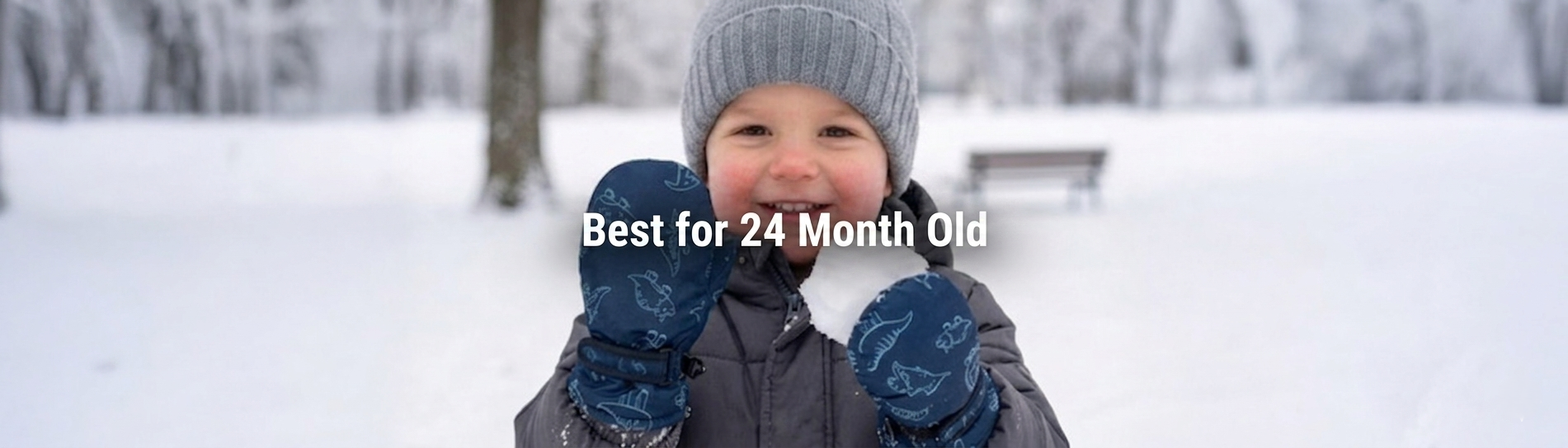 Toys For 24 Months